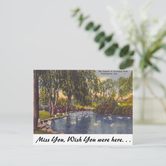 Avondale Park, Birmingham, AL Postkarte (Stehend Vorderseite)