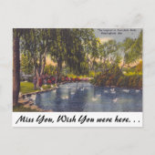 Avondale Park, Birmingham, AL Postkarte (Vorderseite)