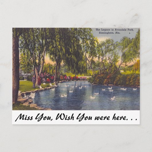Avondale Park, Birmingham, AL Postkarte (Vorderseite)