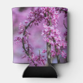 Avondale Redbud Art Dosenkühler (Rückseite)