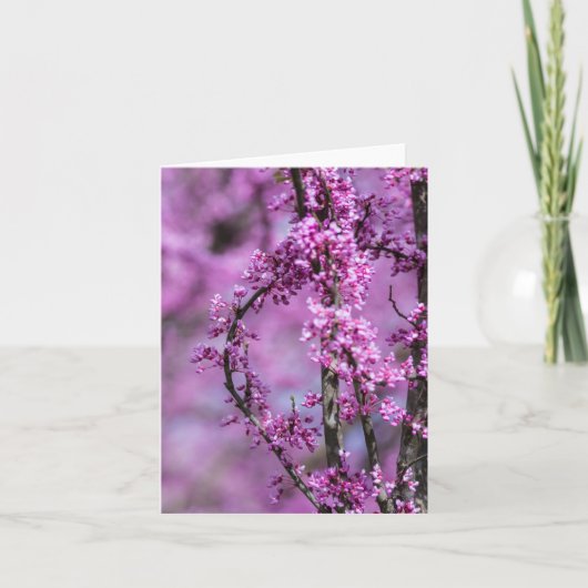 Avondale Redbud Art Karte (Vorderseite)
