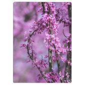 Avondale Redbud Art Klemmbrett (Rückseite)