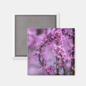 Avondale Redbud Art Magnet (Vorderseite/Rückseite)