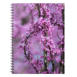 Avondale Redbud Art Notizblock