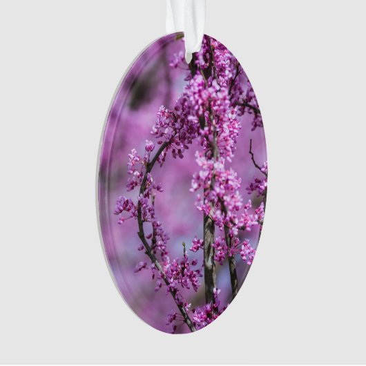 Avondale Redbud Art Ornament (Vorderseite)