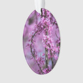 Avondale Redbud Art Ornament (Vorderseite)