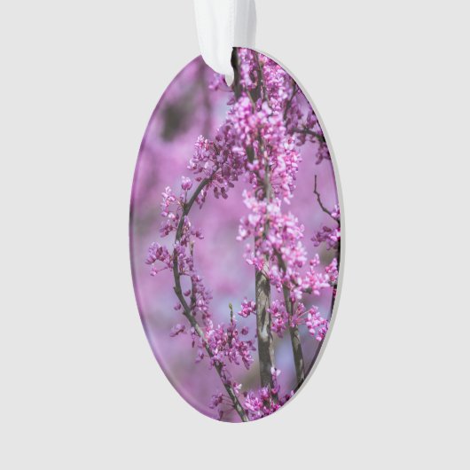 Avondale Redbud Art Ornament (Vorderseite)