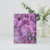 Avondale Redbud Art Postkarte (Stehend Vorderseite)