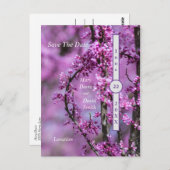 Avondale Redbud Art Save the Date Postkarte (Vorne/Hinten)