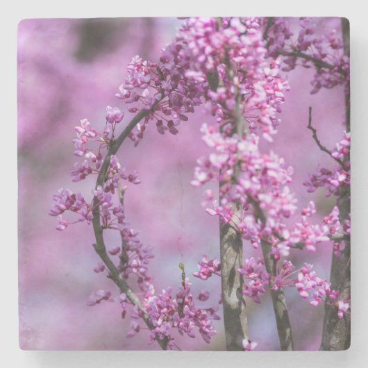 Avondale Redbud Art Steinuntersetzer (Vorderseite)