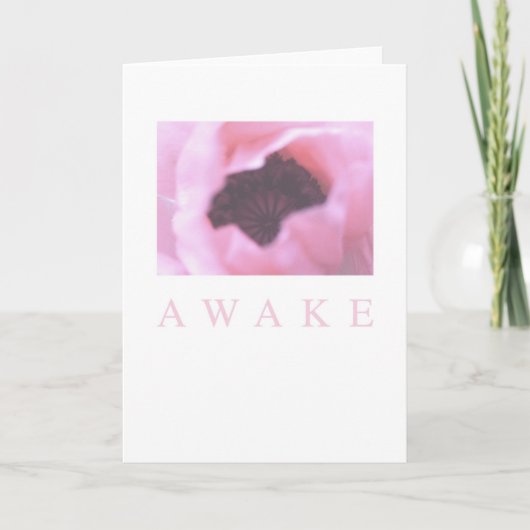 Awake Card: Pink Poppy Karte (Vorderseite)
