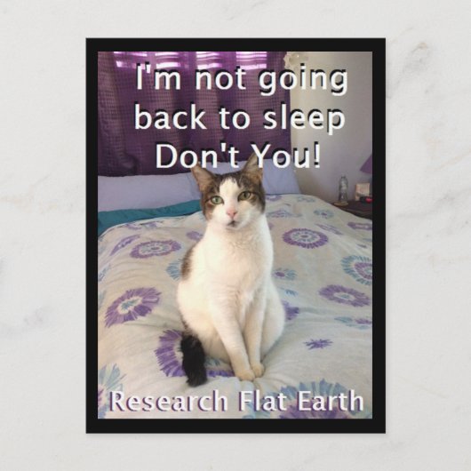 Awake Layla Postcard Postkarte (Vorderseite)