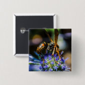 Aware 2 Zoll-Square-Taste Button (Vorne & Hinten)