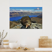 Awnery Kea Poster (Küche)