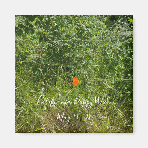 aWorld2Celebrate: California Poppy Week Magnet
