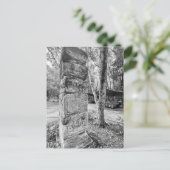 aWorld2Celebrate: Grüße von Chichén Itzá! Postkarte (Stehend Vorderseite)