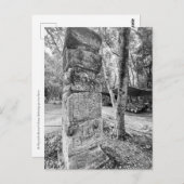 aWorld2Celebrate: Grüße von Chichén Itzá! Postkarte (Vorne/Hinten)