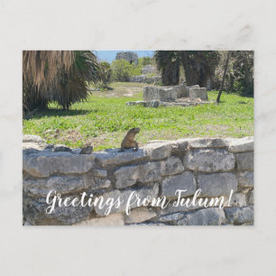 aWorld2Celebrate: Grüße von Tulum! Postkarte