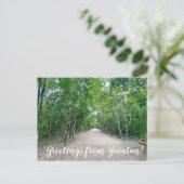 aWorld2Celebrate: Grüße von Yucatán! Postkarte (Stehend Vorderseite)