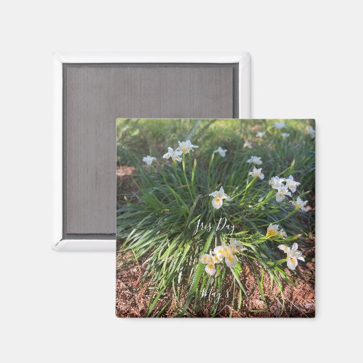 aWorld2Celebrate: Iris Day Magnet (Vorderseite/Rückseite)