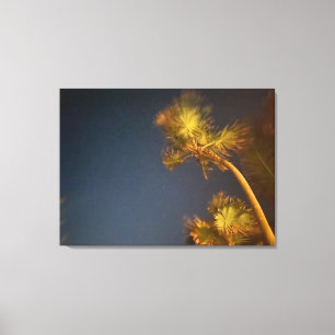 aWorld2Celebrate: Starry Palms Leinwanddruck