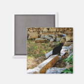 aWorld2Celebrate: Tag der Schwarzen Katze-Aufwertu Magnet (Vorderseite/Rückseite)