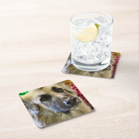 Aww Rechteckiger Pappuntersetzer (Vor Ort)