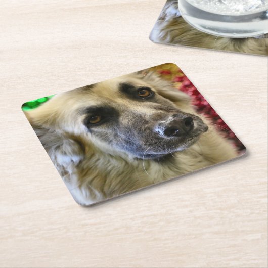 Aww Rechteckiger Pappuntersetzer (angewinkelt)