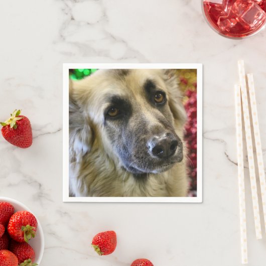 Aww Serviette (Beispiel)