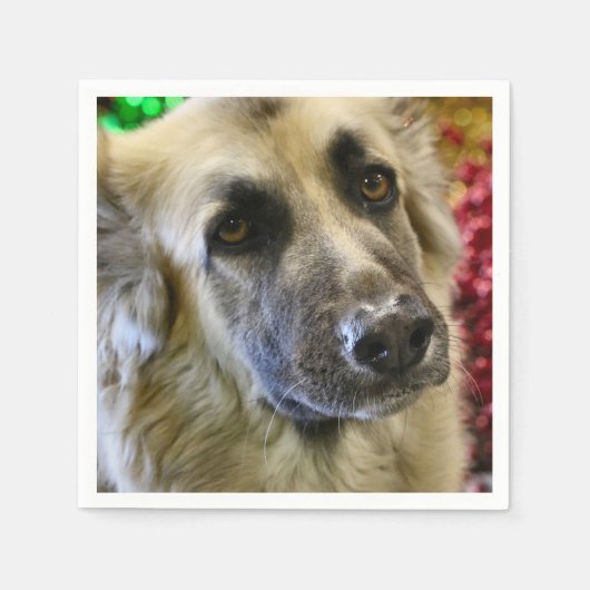 Aww Serviette (Vorderseite)