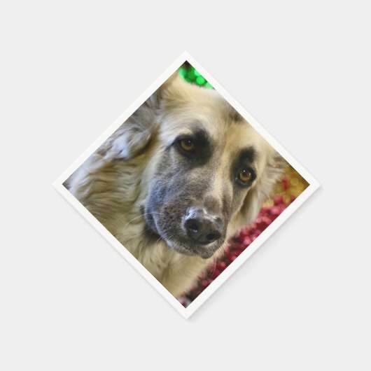 Aww Serviette (Ecke)