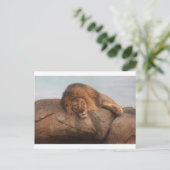 Awwsome Lion Postkarte (Stehend Vorderseite)