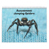 Awwsomest Jumping Spiders Kalender (Titelbild)