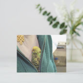 Awww, So Niedlich!!!!!! Postkarte (Stehend Vorderseite)