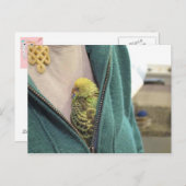 Awww, So Niedlich!!!!!! Postkarte (Vorne/Hinten)