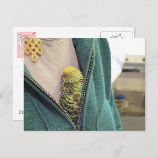 Awww, So Niedlich!!!!!! Postkarte (Vorne/Hinten)