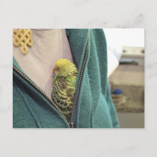 Awww, So Niedlich!!!!!!!! Postkarte