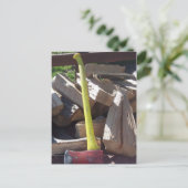 Ax Postkarte (Stehend Vorderseite)