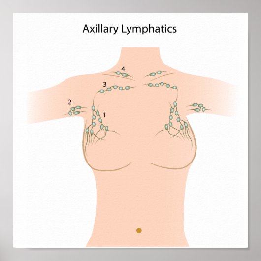 Axillary lymphknoten Poster (Vorne)