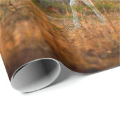Axishirsch oder Cheetal, Axis axis, gefleckte Hirs Geschenkpapier (Rolleneckpunkt)