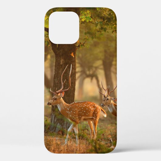 Axishirsch oder Gefleckter Hirsch, Axis axis Case-Mate iPhone Hülle (Rückseite)