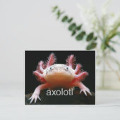 Axolotl Axolotl Axolotl Axolotl Postkarte (Stehend Vorderseite)