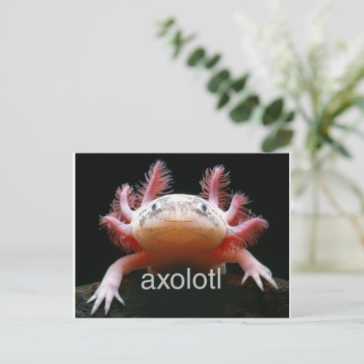 Axolotl Axolotl Axolotl Axolotl Postkarte (Stehend Vorderseite)