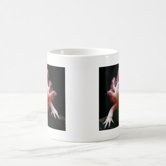 Axolotl Axolotl.png Kaffeetasse (Mittel)