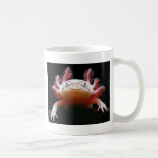 Axolotl Axolotl.png Kaffeetasse