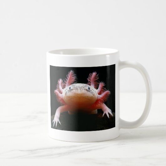 Axolotl Axolotl.png Kaffeetasse (Rechts)