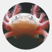 Axolotl Axolotl.png Runder Aufkleber (Vorderseite)