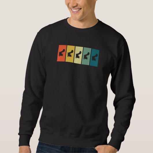 Axolotl Retro Sunset Axolotl Sweatshirt (Vorderseite)