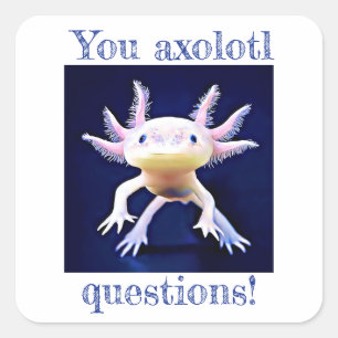 Axolotl Salamander Amphibian Quadratischer Aufkleber