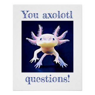 Axolotl Salamander Amphibienposter Poster